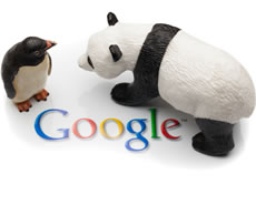 Read SEO – Where to Start?