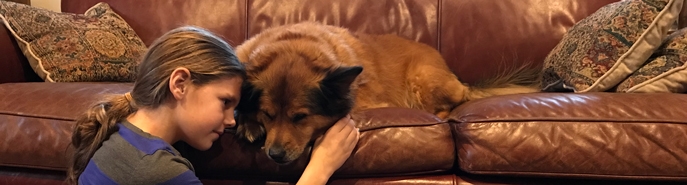 A still shot of a girl with a dog, to illustrate a blog post "Is smartphone video acceptable for a company project?"